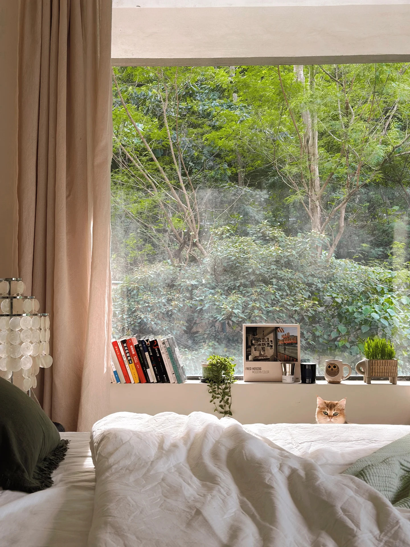 你家的窗戶(hù)為什么會(huì)漏水，怎么解決？看完這篇讓你輕松應(yīng)對(duì)你家的窗戶(hù)為什么會(huì)漏水，怎么解決？看完這篇讓你輕松應(yīng)對(duì)